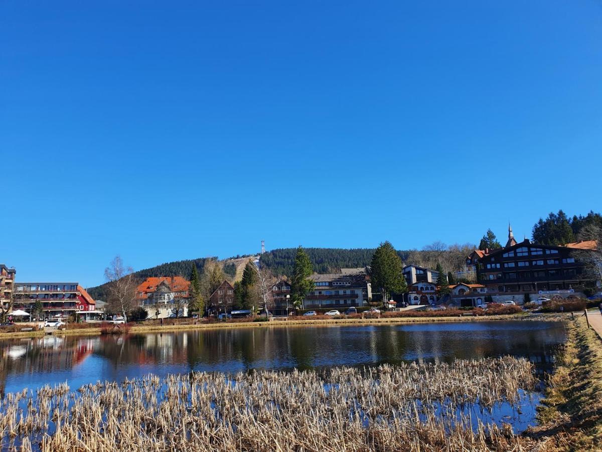 Apartment Am Bocksberg II Goslar Zewnętrze zdjęcie