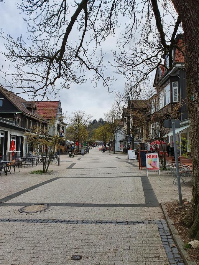Apartment Am Bocksberg II Goslar Zewnętrze zdjęcie